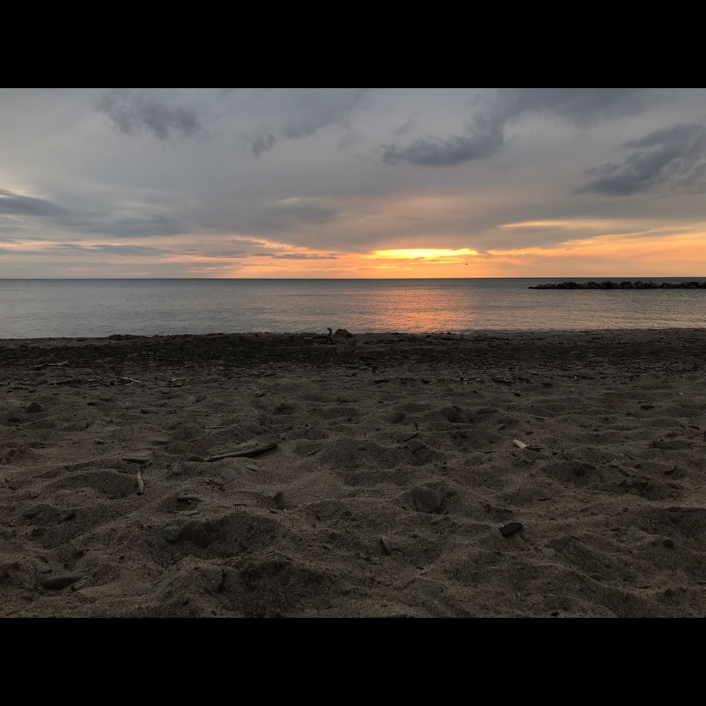 Meet your Posher, Riley